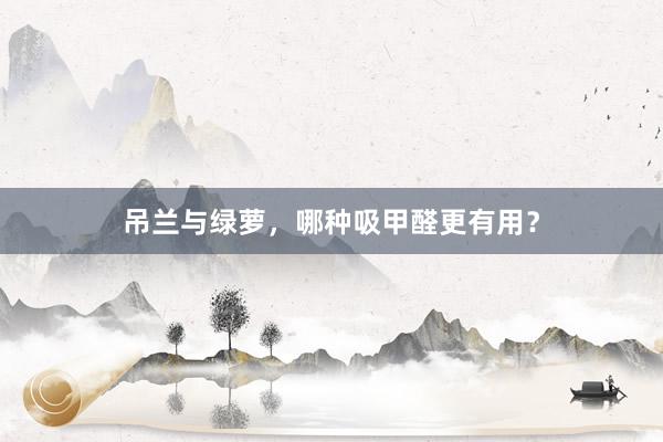 吊兰与绿萝，哪种吸甲醛更有用？