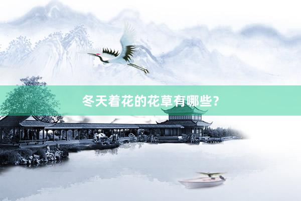 冬天着花的花草有哪些？