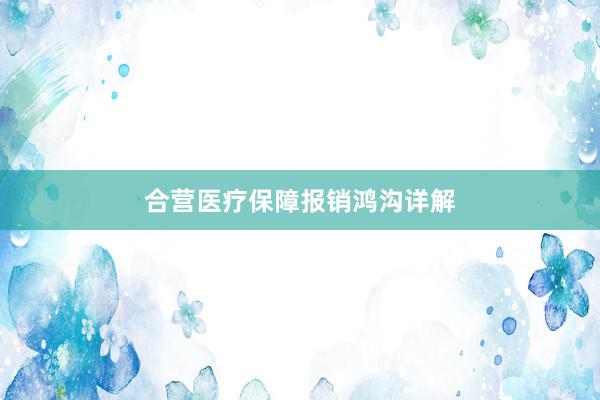 合营医疗保障报销鸿沟详解