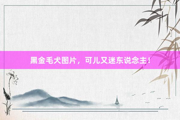 黑金毛犬图片，可儿又迷东说念主！