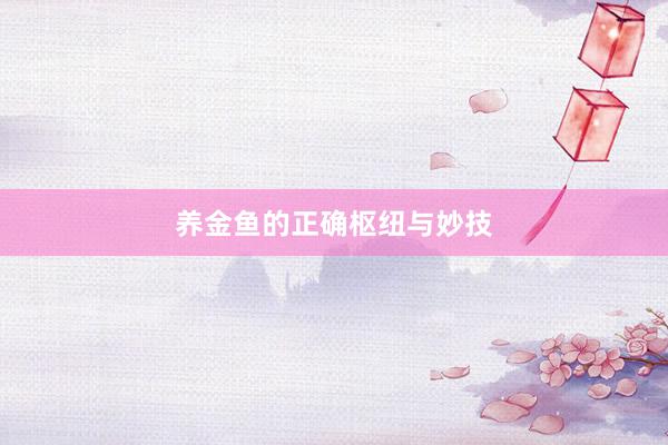 养金鱼的正确枢纽与妙技